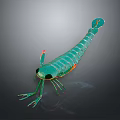 Vibrant Green Shrimp Shaped Decorative Model With Long Body Antennae Legs And Colorful Accents