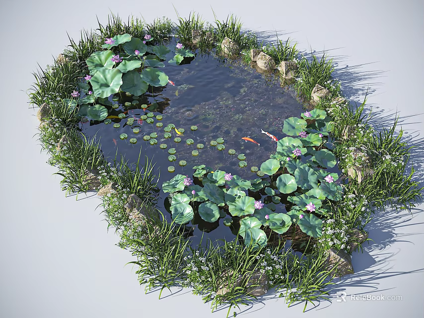 Waterfront Landscape Featuring Lotus Flowers Lily Pads Koi Fish Surrounding Grass and Stones 3d model 