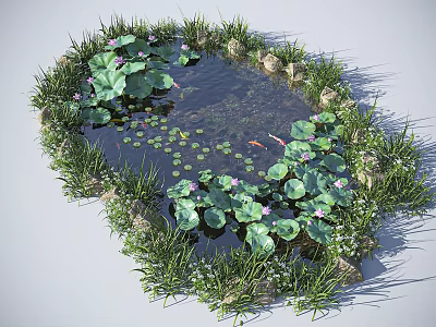 Waterfront Landscape Featuring Lotus Flowers Lily Pads Koi Fish Surrounding Grass and Stones 3d model