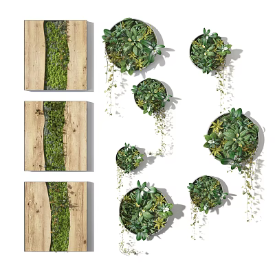 Interior Living Plant Wall Design With Wooden Background And Circular Hanging Decor Styles 3d model