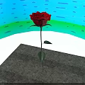 Red Rose Plant With Green Leaves And Long Stem On White Background