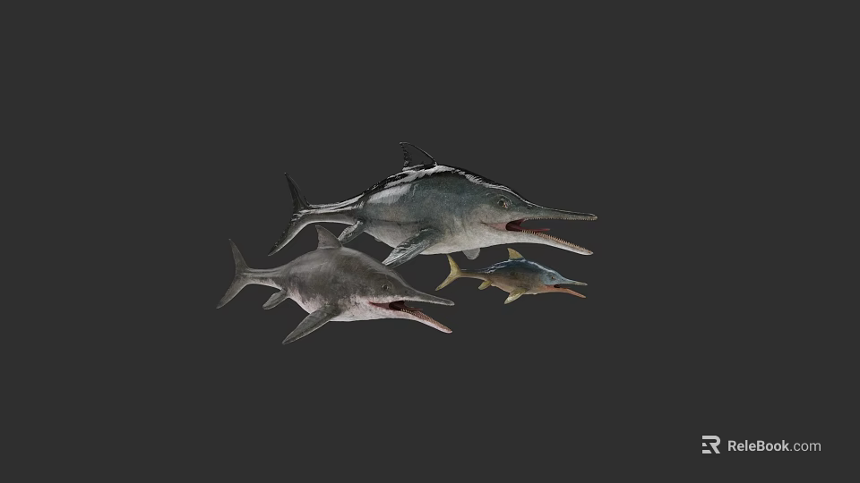 Group Of Three Marine Fish With Long Bills Swimming Underwater Together 3d model 
