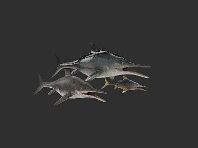 Group Of Three Marine Fish With Long Bills Swimming Underwater Together 3d model