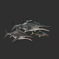 Group Of Three Marine Fish With Long Bills Swimming Underwater Together
