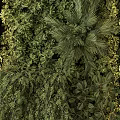 Lush Living Green Wall With Diverse Foliage And Fresh Greenery For Modern Indoor Decor