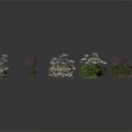 Various Decorative Plants with White Purple and Green Foliage Arranged in a Row