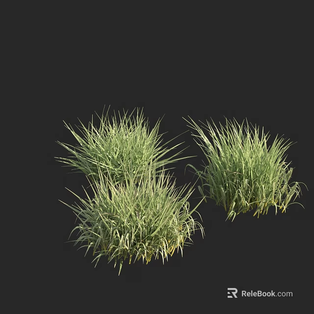Lush Green Grass Tufts Isolated On Black Background For Natural Landscaping 3d model 
