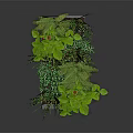 Various Green Plants In White Rectangular Planter With Ferns And Leaves