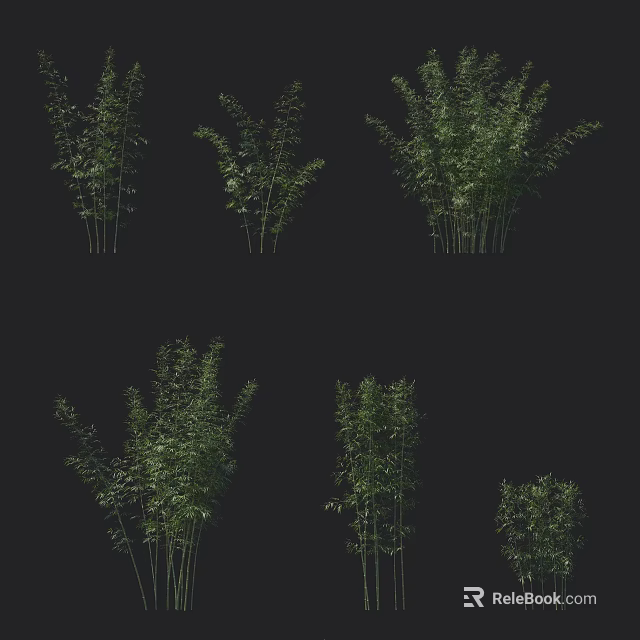 Lush Green Bamboo Plants in Various Heights and Natural Clumping Forms 3d model 