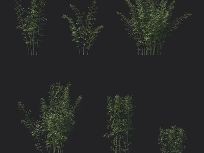 Lush Green Bamboo Plants in Various Heights and Natural Clumping Forms 3d model