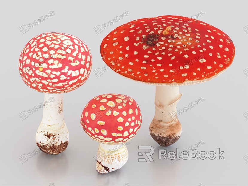 Amanita poisonous mushroom plant model