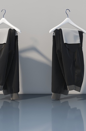 Clothing collocation 3d model