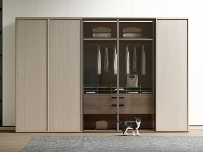 Modern wardrobe 3d model