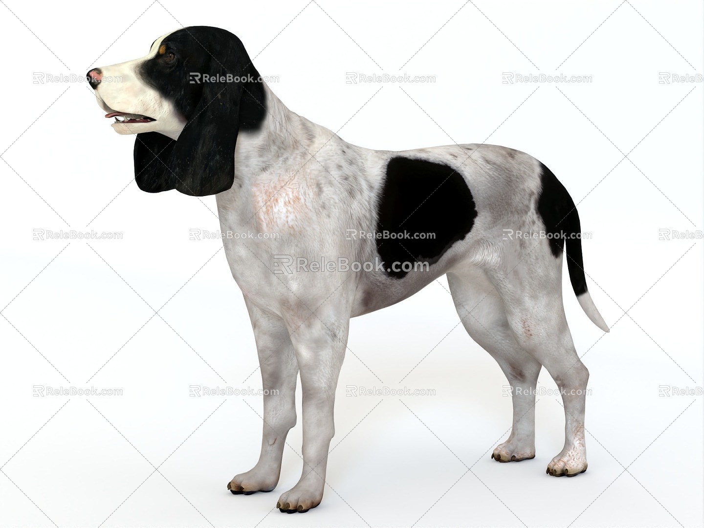 Dog Beagle Atova Dog Brick Dog Pet Dog Pet Dog Big Ear Dog Shepherd Dog Big Hound Hound Dog 3d model