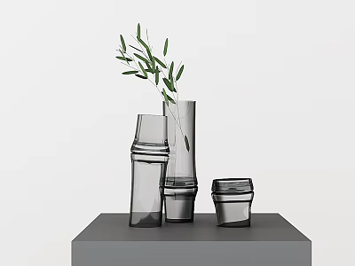 Modern Transparent Glass Vases With Fresh Green Leaves On Gray Display Platform 3d model