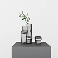 Modern Transparent Glass Vases With Fresh Green Leaves On Gray Display Platform