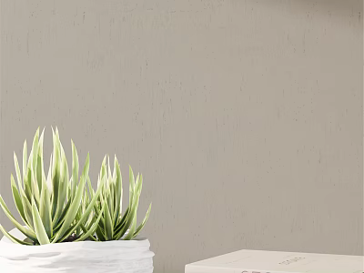 Green Striped Potted Plant in White Container Against Light Gray Wall with Decorative Box 3d model