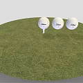 Three Titleist 1 Golf Balls As Sports Equipment Placed On Grass With Tee