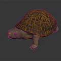 Detailed 3D Rendered Turtle With Orange And Black Patterned Shell