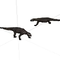 Komodo dragon lizard 3d model