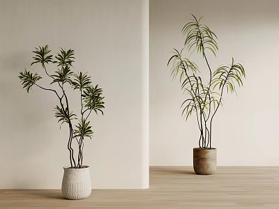 03 potted ancient plants potted 3d model