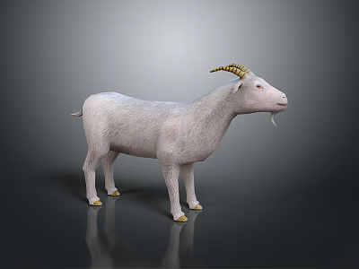 White Horned Goat Standing on Dark Reflective Surface Against Gradient Gray Background 3d model