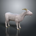 White Horned Goat Standing on Dark Reflective Surface Against Gradient Gray Background 3d model