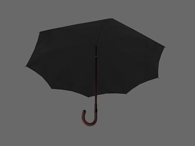 Black Household Umbrella With Wooden Handle For Daily Rain Protection Essential 3d model