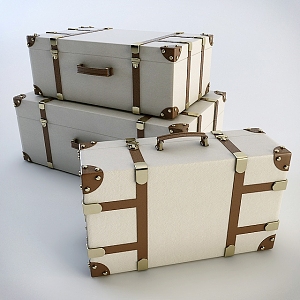 Luggage 3d model