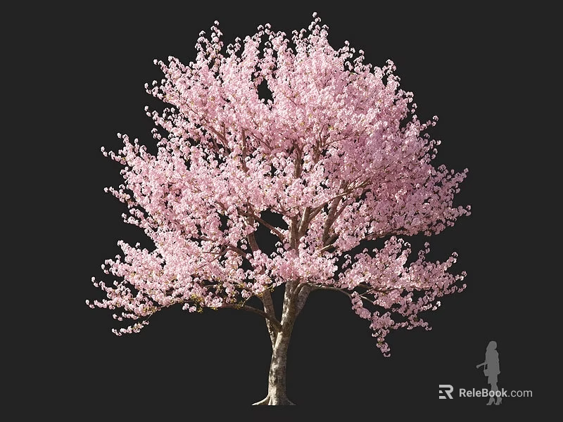 Beautiful Tall Flowering Arbor With Pink Blossoms And Lush Canopy In Bloom 3d model 