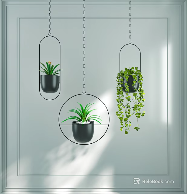 Hanging Green Plants With Metal Frames And Black Pots On Light Wall Background 3d model 