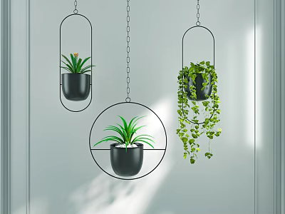 Hanging Green Plants With Metal Frames And Black Pots On Light Wall Background 3d model