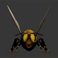 Bee With Yellow And Black Stripes Transparent Wings Front View On Dark Background
