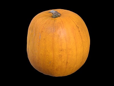 Pumpkin Modern Pumpkin Gourd Pumpkin Low Face Number Low Model Simple Model Game Sub-era Film and Television Level Super Realistic High Precision 3d model