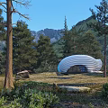 Unique Forest Guesthouse With Wavy Roof Design On Elevated Platform And Pine Tree Surroundings