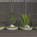 Bonsai Potted Plants with Ferns in Stone Pots on Wooden Table and Wooden Screen Background