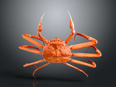 Vibrant Red King Crab With Long Legs And Orange Shell On Gray Background 3d model Vibrant Red King Crab With Long Legs And Orange Shell On Gray Background 3d model