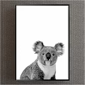 Black and White Koala Animal Painting With Framed Design And White Background