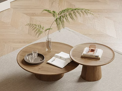 Modern Minimalist Round Wooden Coffee Tables On Beige Rug With Plant Magazine And Glasses 3d model
