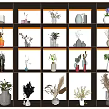 Elegant Illuminated Shelf Compartments With Various Vases And Decorative Plant Arrangements