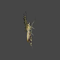 Vibrant Yellow And Black Butterfly With Detailed Wing Patterns And Antennae