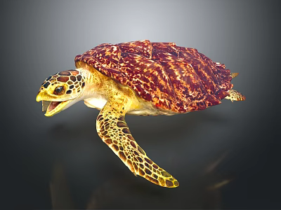 Vibrant Sea Turtle With Reddish Yellow Patterned Shell Swimming Gracefully 3d model
