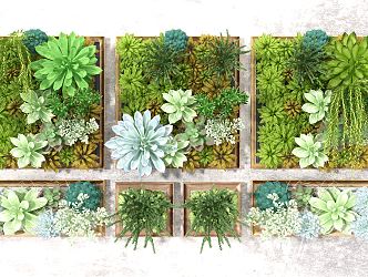 Modern Plant Wall 3d model