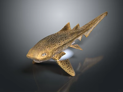 Realistic Aquatic Animal Spotted Shark With Distinct Body Spots And Fins 3d model