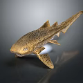 Realistic Aquatic Animal Spotted Shark With Distinct Body Spots And Fins
