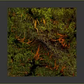 Lush Green Garden Landscape With Vibrant Orange Elements Water Features And Natural Layout