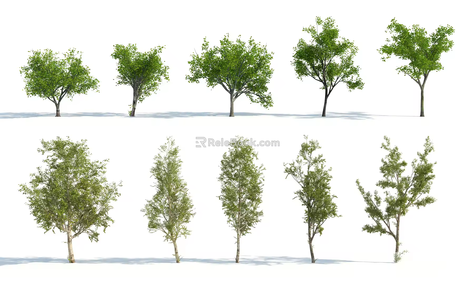 The Modern Tree 3d model