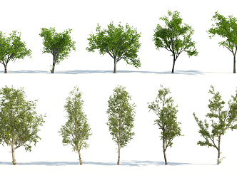 The Modern Tree 3d model