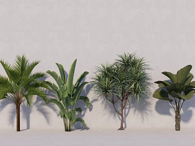 Different Types of Indoor Decorative Trees With Lush Green Foliage and Varied Leaf Shapes 3d model