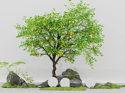 Lush Courtyard Garden With Fruit Bearing Tree Rocks Round Seats Green Plants And Grass 3d model